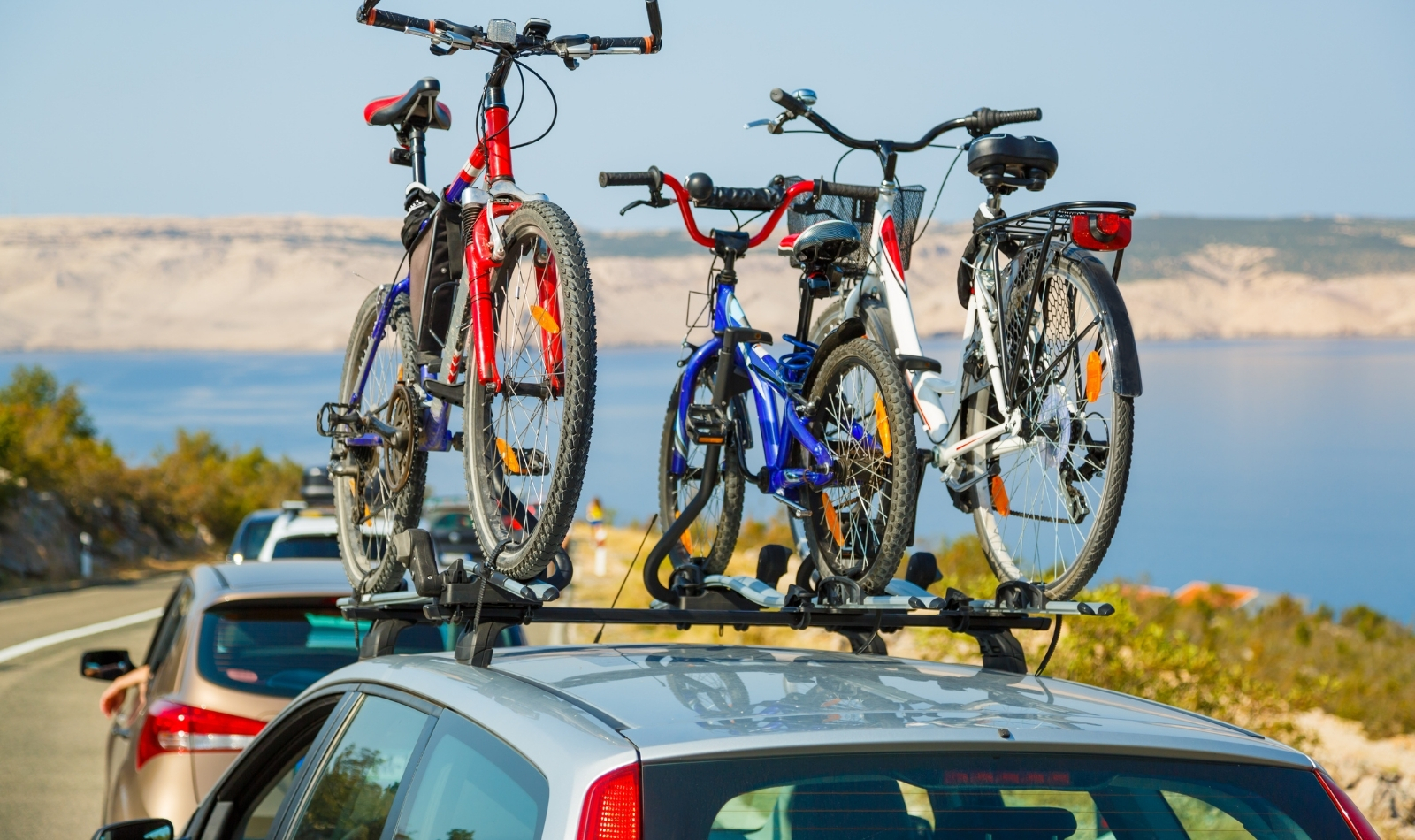 Beste fietsendrager 2026